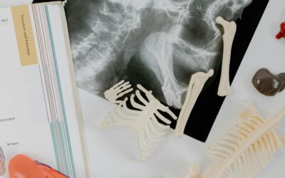 El proceso de Evaluación y Acreditación de Programas de Especialidades Médicas de Posgrado. Acreditación del servicio de Cirugía Pediátrica de Holguín, Cuba